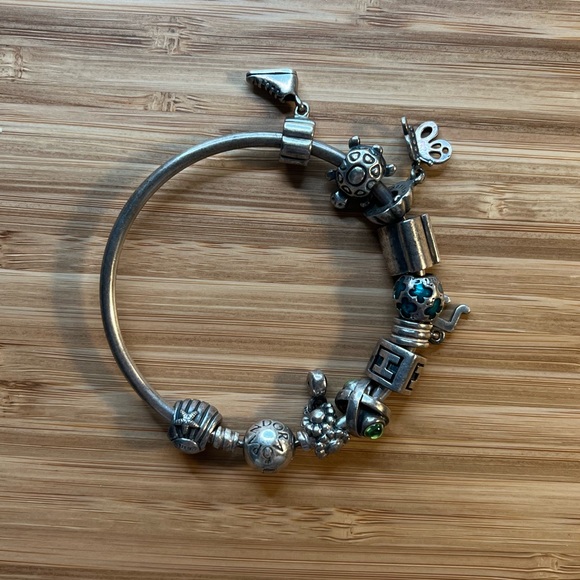 Pandora Jewelry - Silver Pandora Bracelet with Charms